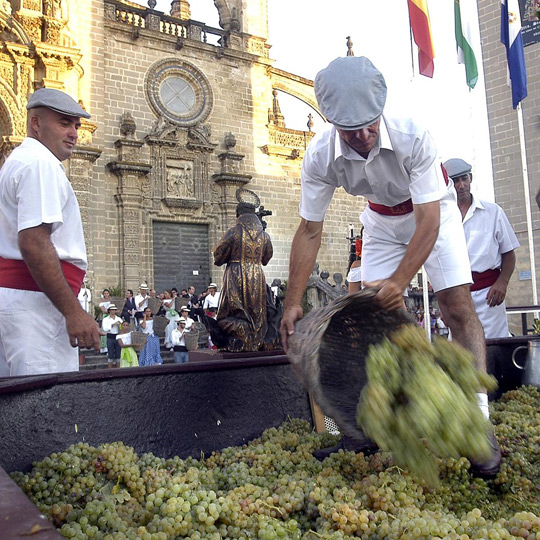 Traubentreten bei der Weinlese in Jerez 