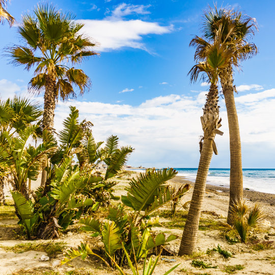 Plaża na wybrzeżu Costa Tropical w Grenadzie, Andaluzja