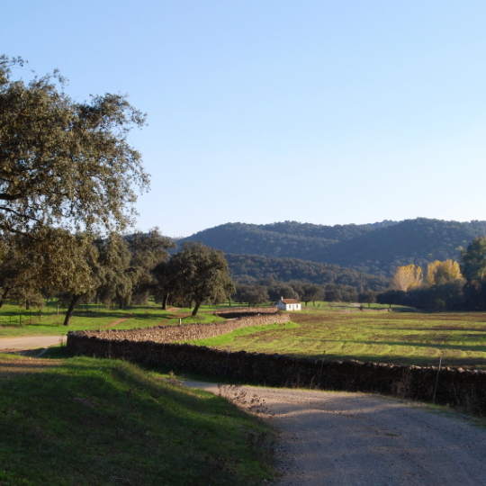 Dettaglio della Via Verde della Sierra Norte di Siviglia, Andalusia