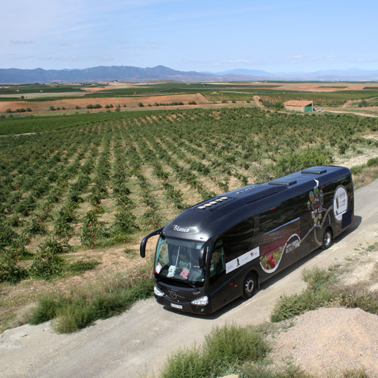 Ônibus do Roteiro do Vinho de Cariñena