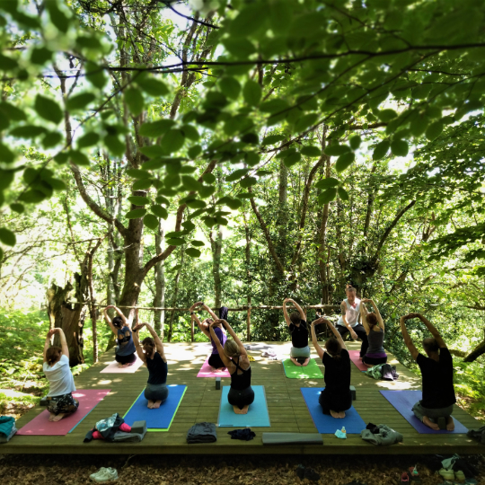 Group of students doing yoga in the Bosque Perdido in Cereceda, Asturias