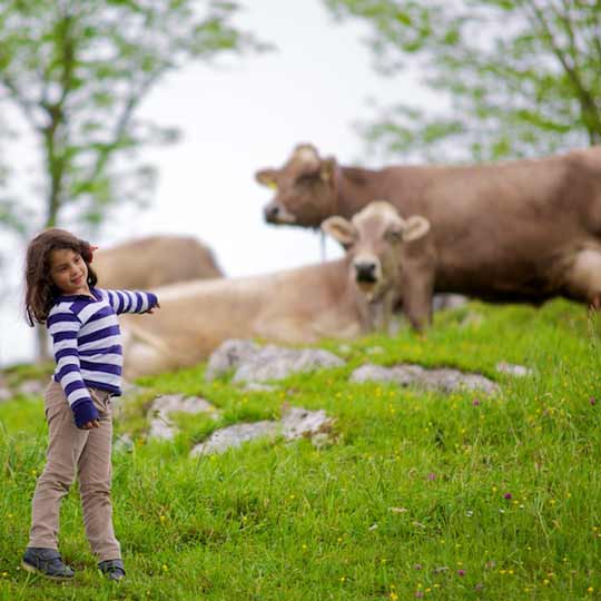 Agroturismo en familia en Asturias