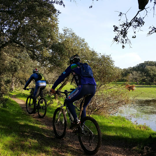 Ciclistas na Via da Prata passando por Astúrias