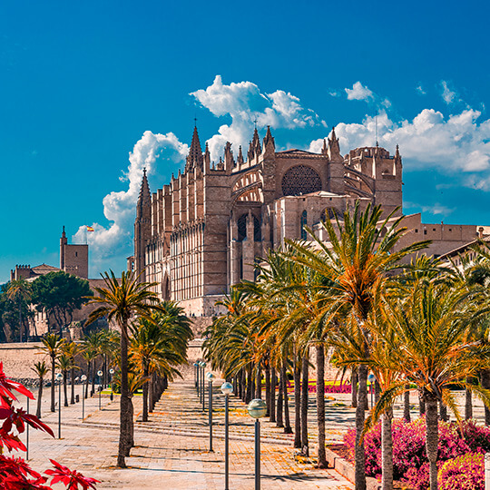 Katedra w Palma de Mallorca