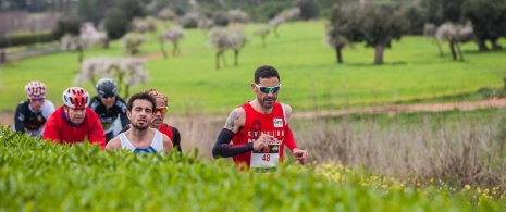 Sol Media Maratón de Magaluf © Rafa Babot. Imágenes cedidas por ICE Institut Calvianer d