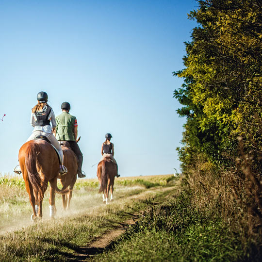 Cavalgando pelo Caminho de Santiago