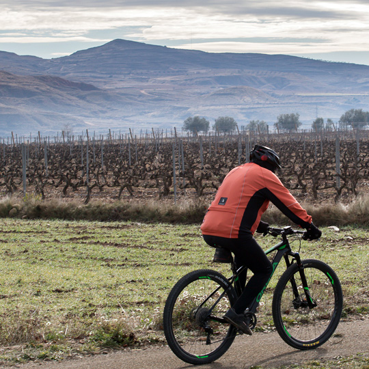 Camino de Santiago en la Ruta del Vino de la Rioja Oriental