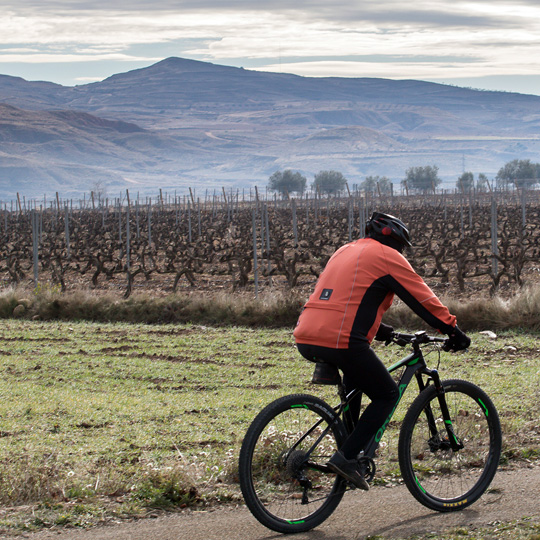 Chemin de Compostelle sur la route du vin de la Rioja orientale