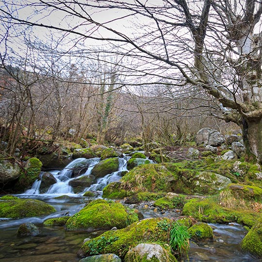 Waterfall at the source of the Asón river. Cantabria