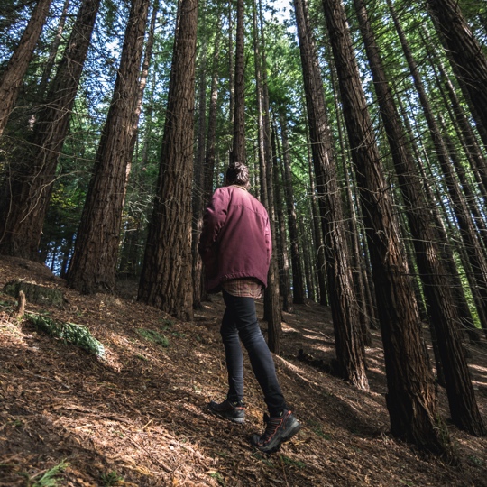 Man walking in the protected natural space of Monte Cabezón, Cantabria