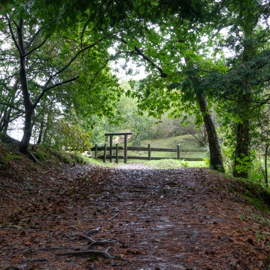 Típico paisaje variado del Bosque Cabezón, Cantabria