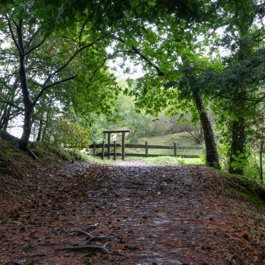 Típica paisagem variada do Bosque Cabezón, Cantábria