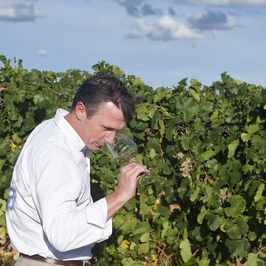 Ruta del Vino de Rueda