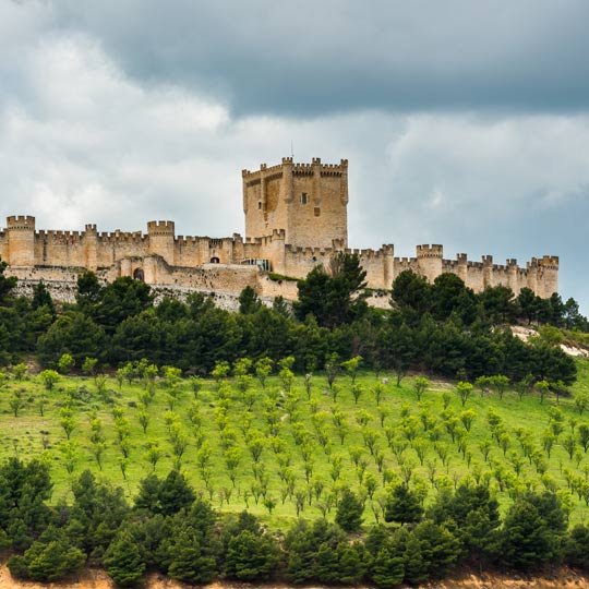 Zamek w Peñafiel, prowincja Valladolid (Kastylia i León)