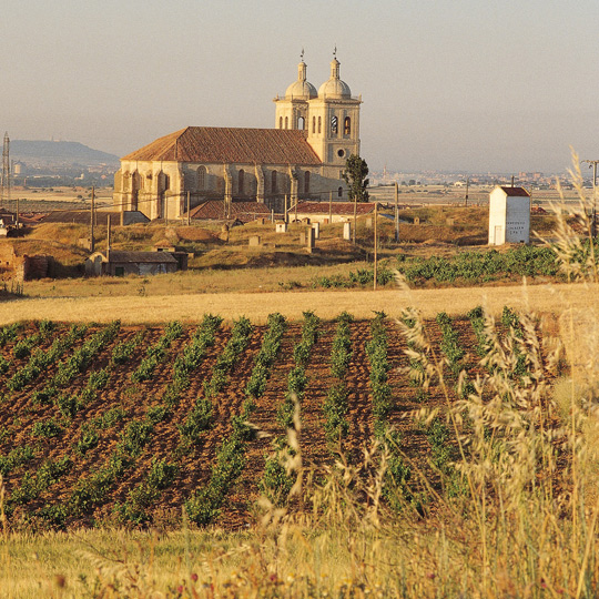 Cigales und seine Weinberge