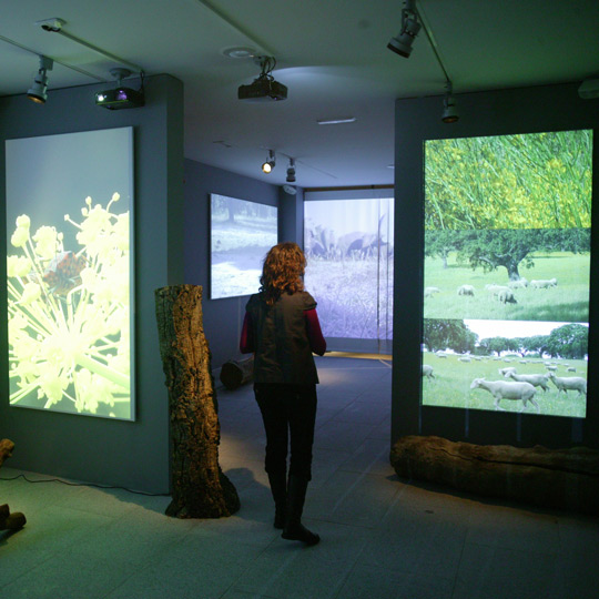 Cold Meats Industry Museum in Guijuelo, Salamanca, Castile and Leon