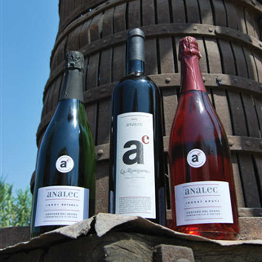 Domaine Analec