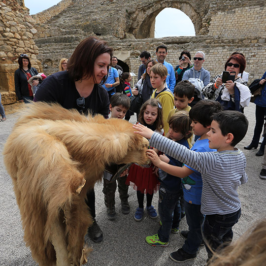 Familienwoche in Tarraco
