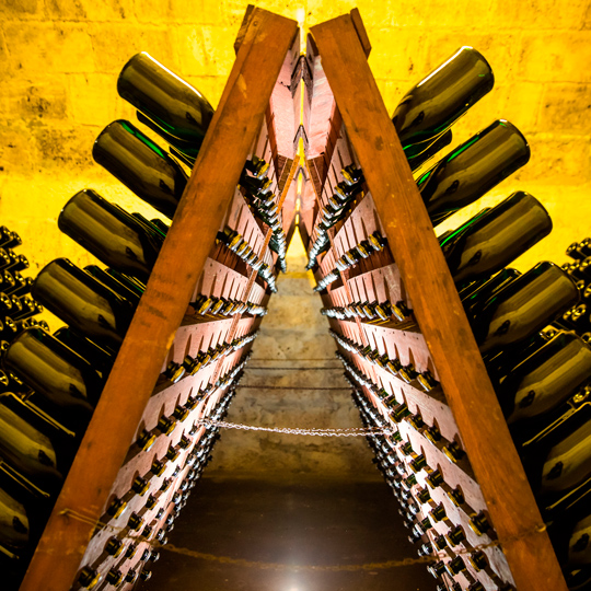 Bottles of Cava maturing on wooden racks Bottles of Cava maturing on wooden racks