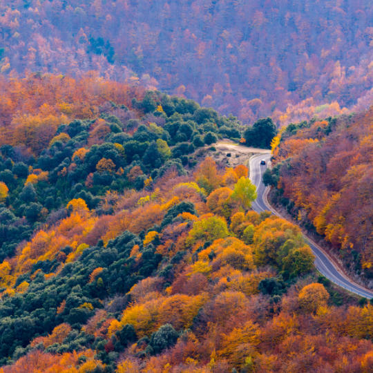 Naturpark Montseny zwischen den Landkreisen Vallès Oriental, La Selva und Osona, Katalonien.