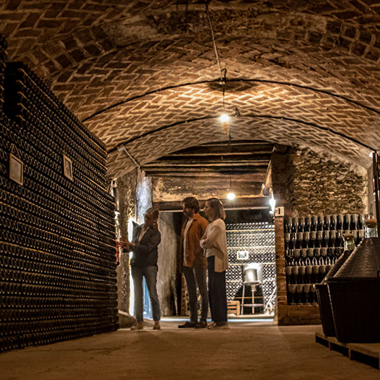 Bodega an der Weinstraße des Penedès