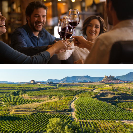 U góry: Przyjaciele wznoszący toast winem © Turismo la Rioja / U dołu: Winnice w San Vicente de la Sonsierra, La Rioja