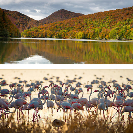 Arriba: Embalse de Irati © Gaizka Bilbao. Abajo: Flamencos en el parque Nacional de Doñana