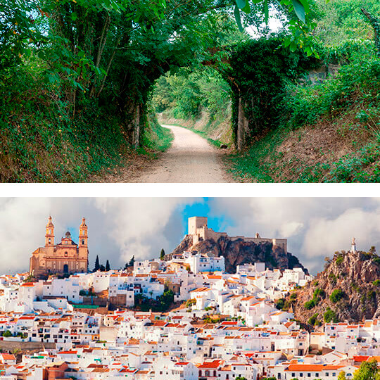 Top: El Carrilet greenway. Below: View of Ólvera in Cádiz Top: El Carrilet greenway. Below: View of Ólvera in Cádiz