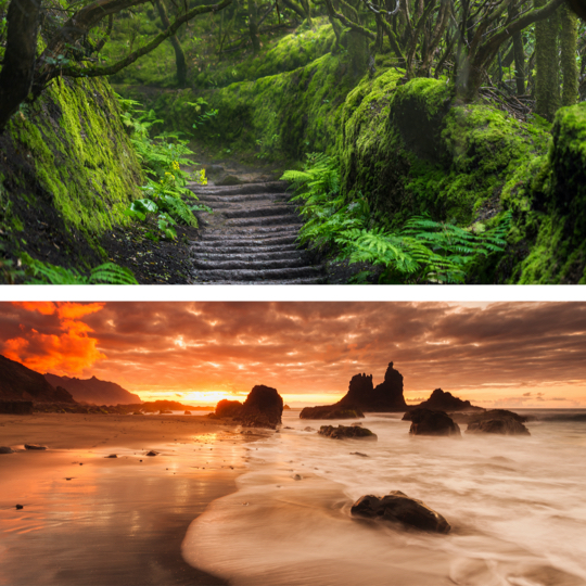 En haut : sentier dans le parc rural d’Anaga, Tenerife / En bas : plage de Benijo à Santa Cruz de Tenerife