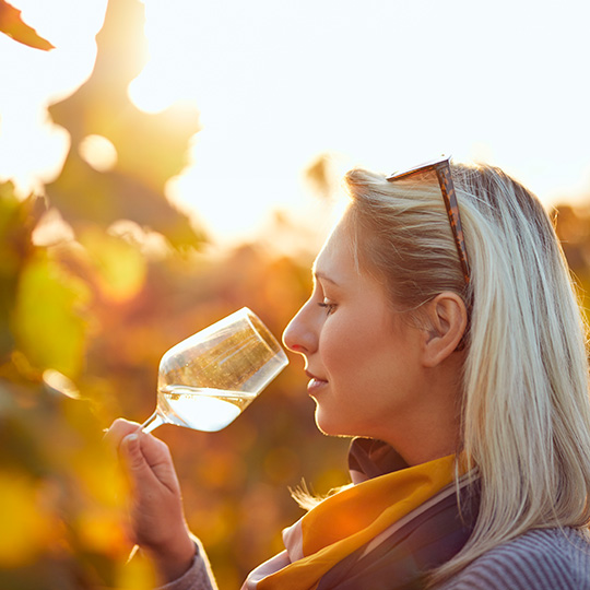 Une jeune fille déguste des vins