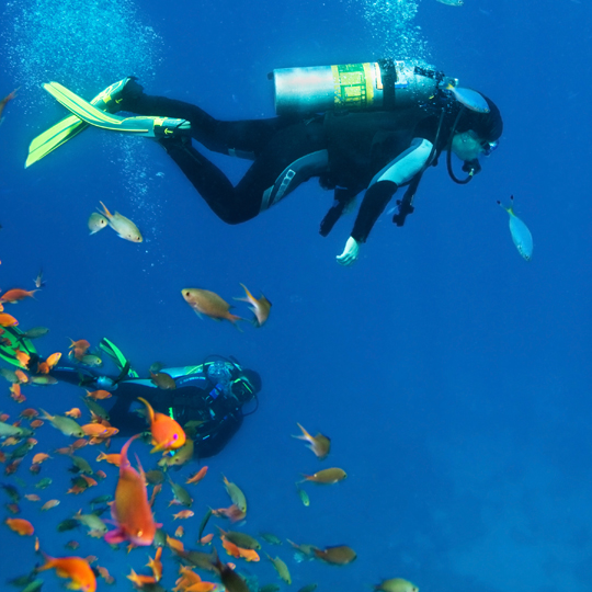 Plongée sous-marine