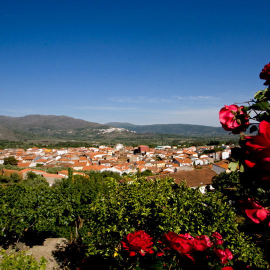 Views of the village of Valverde del Fresno