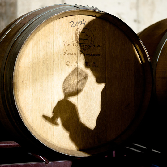 Roteiro do vinho de Ribera del Guadiana