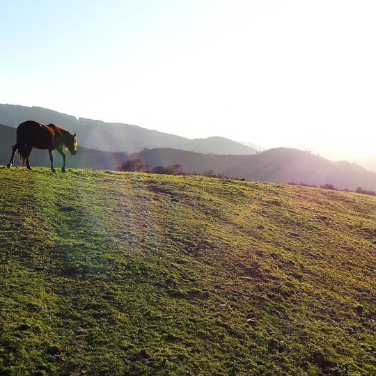 O Courel, Lugo