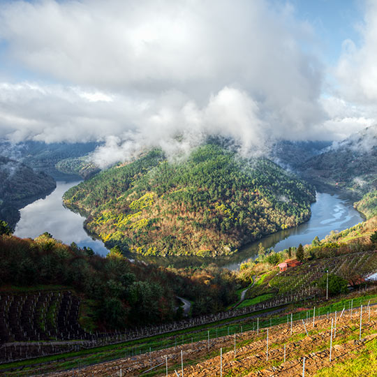 Ribeira Sacra, Galicia