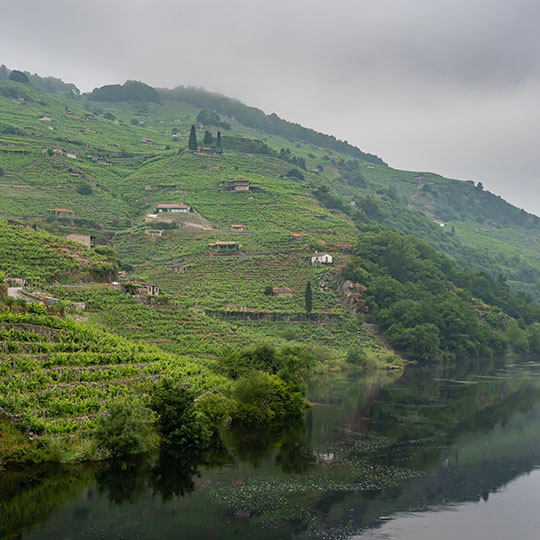 Vignobles de la route du vin Ribeira Sacra