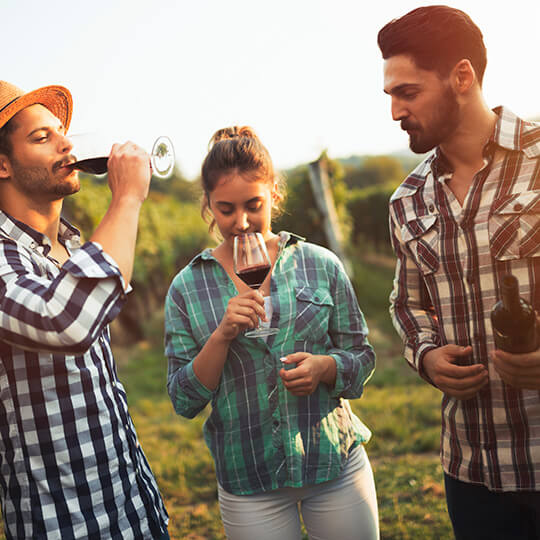 Dégustation de vins dans un vignoble