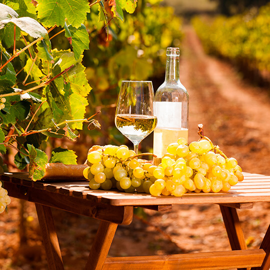 Bodegón uvas y vino blanco entre viñedos.