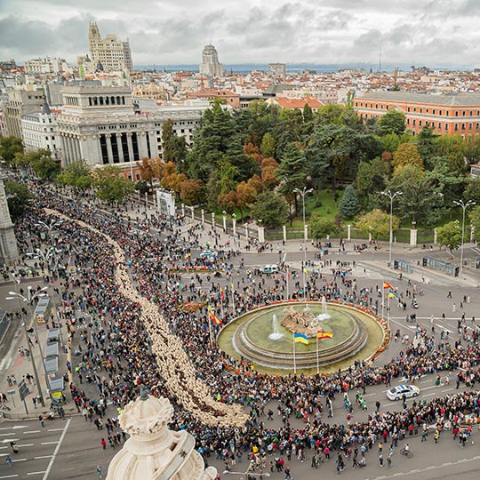 Aerial view of transhumance in Madrid