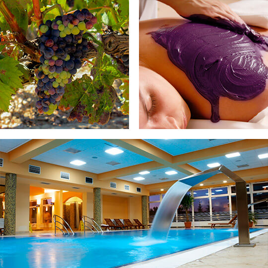 Weinberge in La Rioja, Weintherapie und Therme