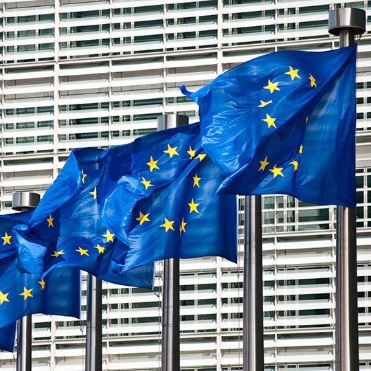 Bandiere dell’Unione Europea
