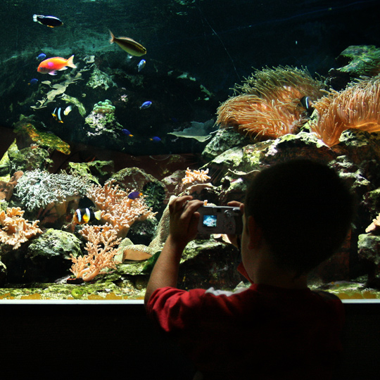 Zoo Aquarium de Madri