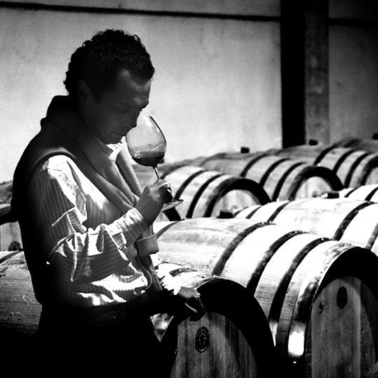 Cata en Bodegas Barahonda