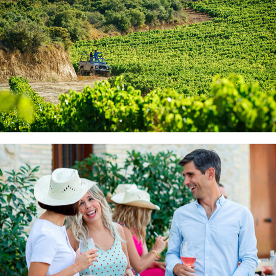 Top: Visiting the vineyards in San Martin Unx, Navarra / Abajo: Friends enjoying a wine tourism experience in Otazu, Navarra.