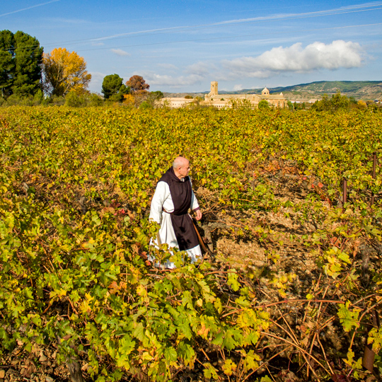 Виноградники в регионе Рибера-Альта на фоне монастыря Олива в Каркастильо, Наварра