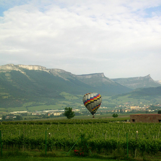 Viagem de balão em uma vinícola do roteiro