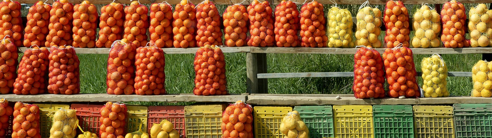 Productos de la huerta