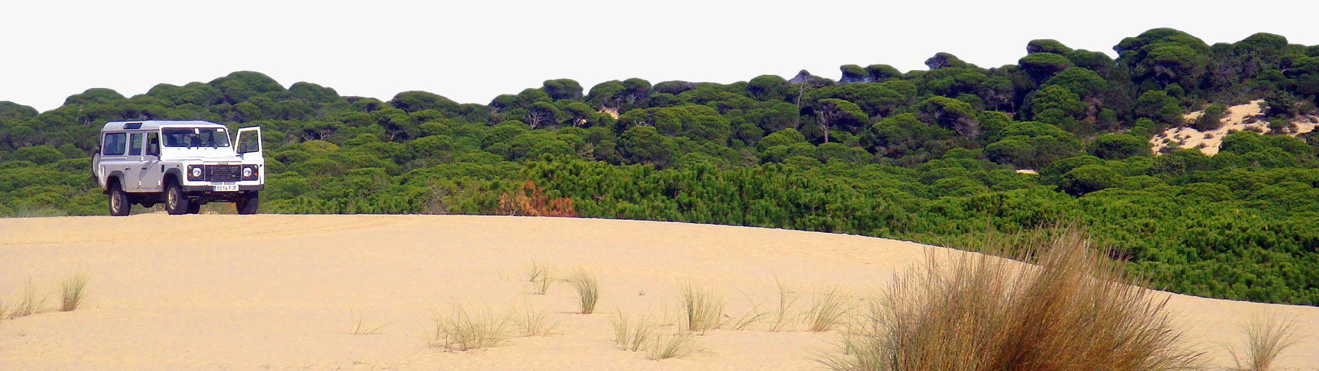 Todoterreno en el Parque Nacional de Doñana, en Huelva (Andalucía)