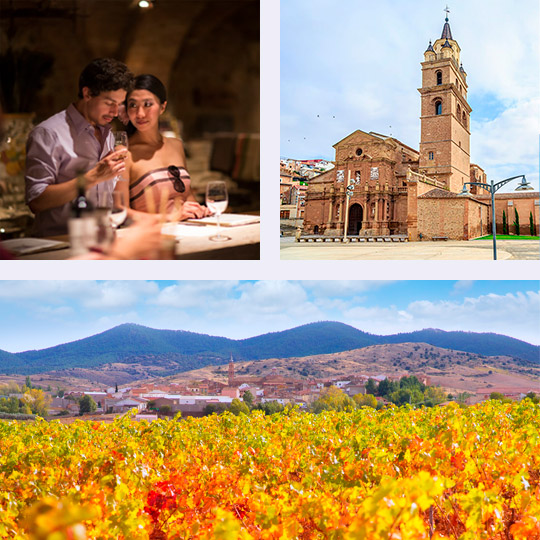 Wijnproeven, kathedraal van Calahorra en wijngaarden in La Rioja