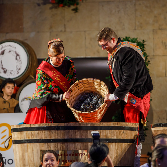 Les Grands Vendangeurs lors des Fêtes des vendanges de La Rioja à Logroño, La Rioja